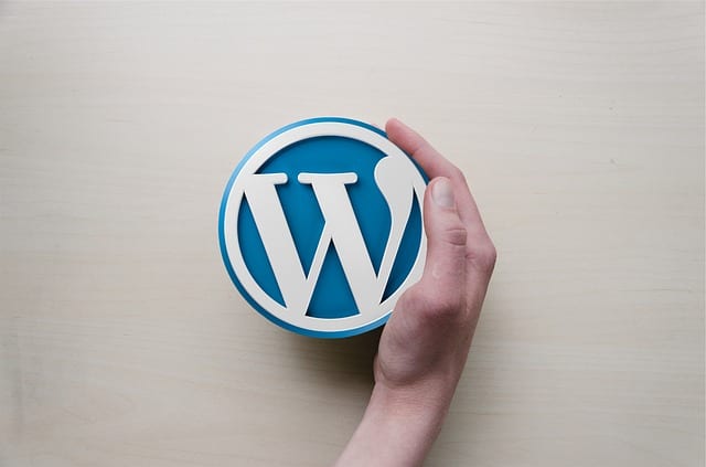 how to use Wordpress